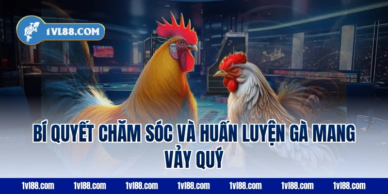 Bí quyết chăm sóc và huấn luyện gà mang vảy quý