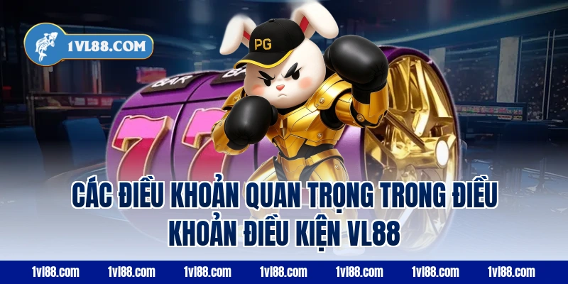 Các điều khoản quan trọng trong điều khoản điều kiện VL88
