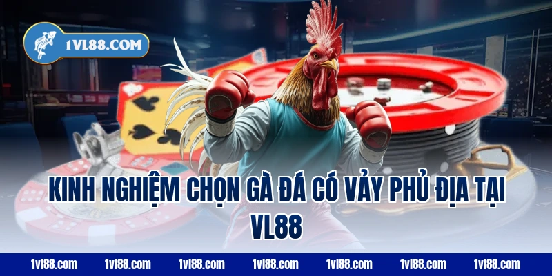 Kinh nghiệm chọn gà đá có vảy phủ địa tại VL88