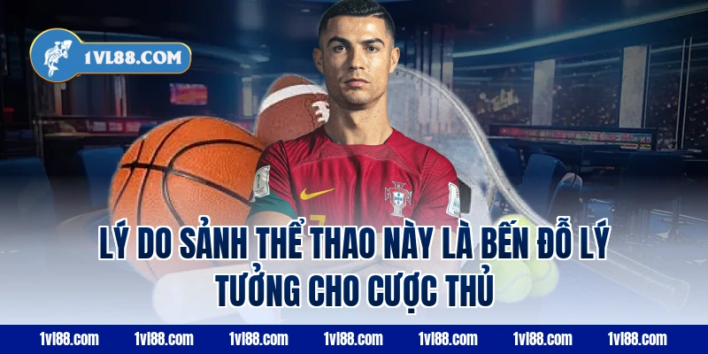 Lý do sảnh thể thao này là bến đỗ lý tưởng cho cược thủ