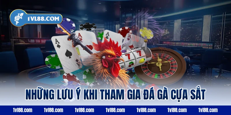 Những lưu ý khi tham gia đá gà cựa sắt