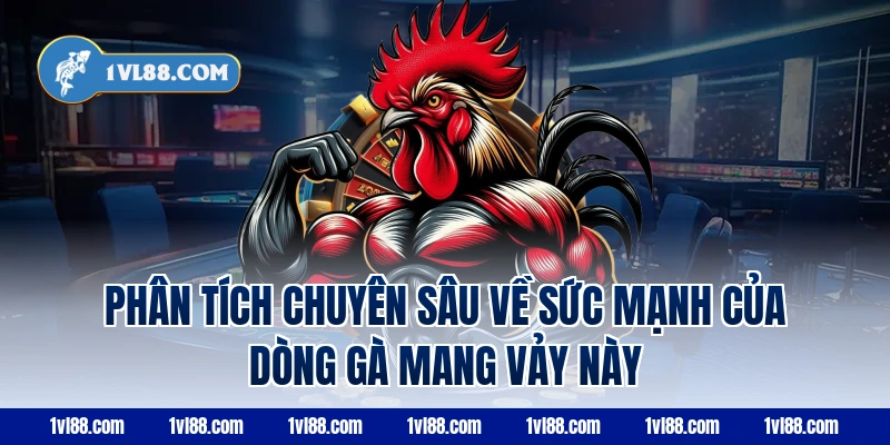 Phân tích chuyên sâu về sức mạnh của dòng gà mang vảy này