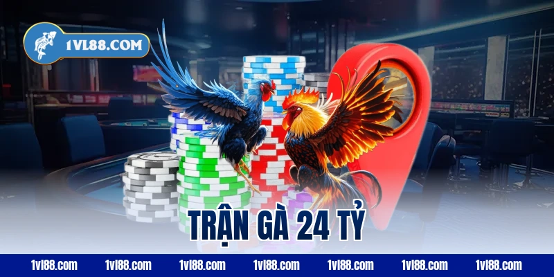 trận gà 24 tỷ