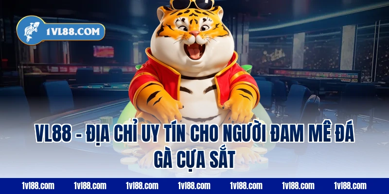 VL88 – Địa chỉ uy tín cho người đam mê đá gà cựa sắt